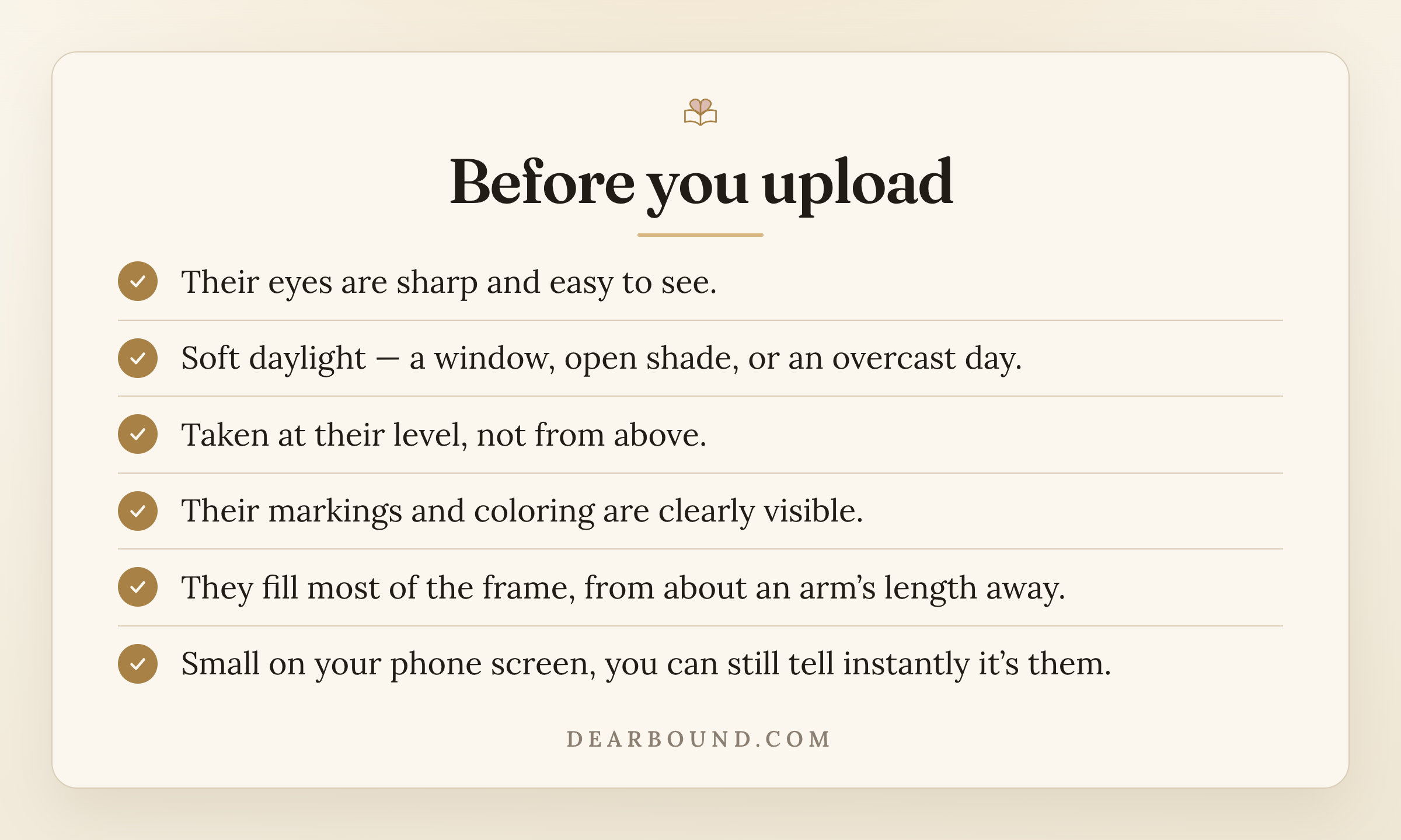 A checklist card titled 'Before you upload': their eyes are sharp and easy to see; soft daylight from a window, open shade, or an overcast day; taken at their level, not from above; their markings and coloring are clearly visible; they fill most of the frame from about an arm's length away; and small on your phone screen, you can still tell instantly it's them.