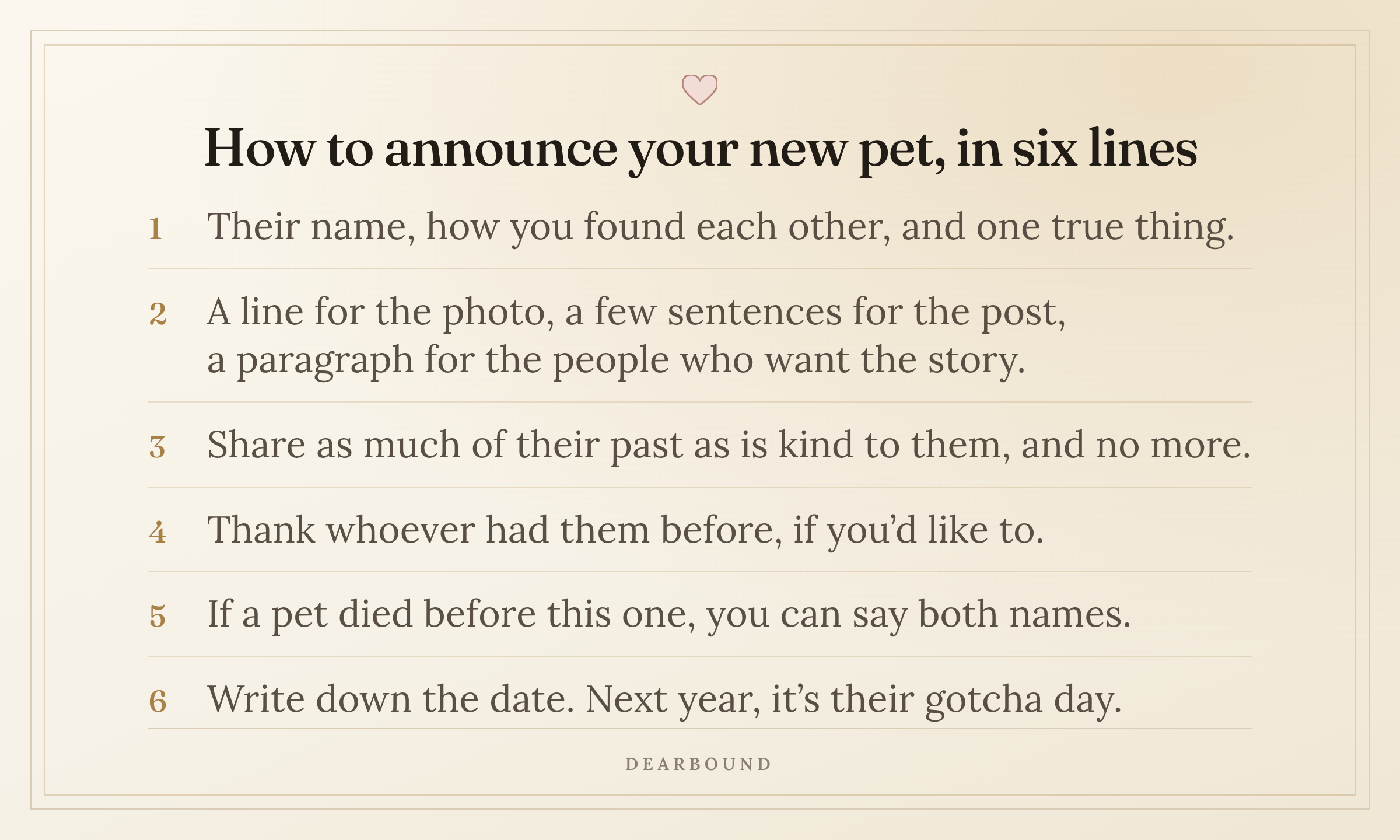 A card titled 'How to announce your new pet, in six lines', with six numbered lines: their name, how you found each other, and one true thing; a line for the photo, a few sentences for the post, a paragraph for the people who want the story; share as much of their past as is kind to them, and no more; thank whoever had them before, if you'd like to; if a pet died before this one, you can say both names; write down the date, next year, it's their gotcha day.