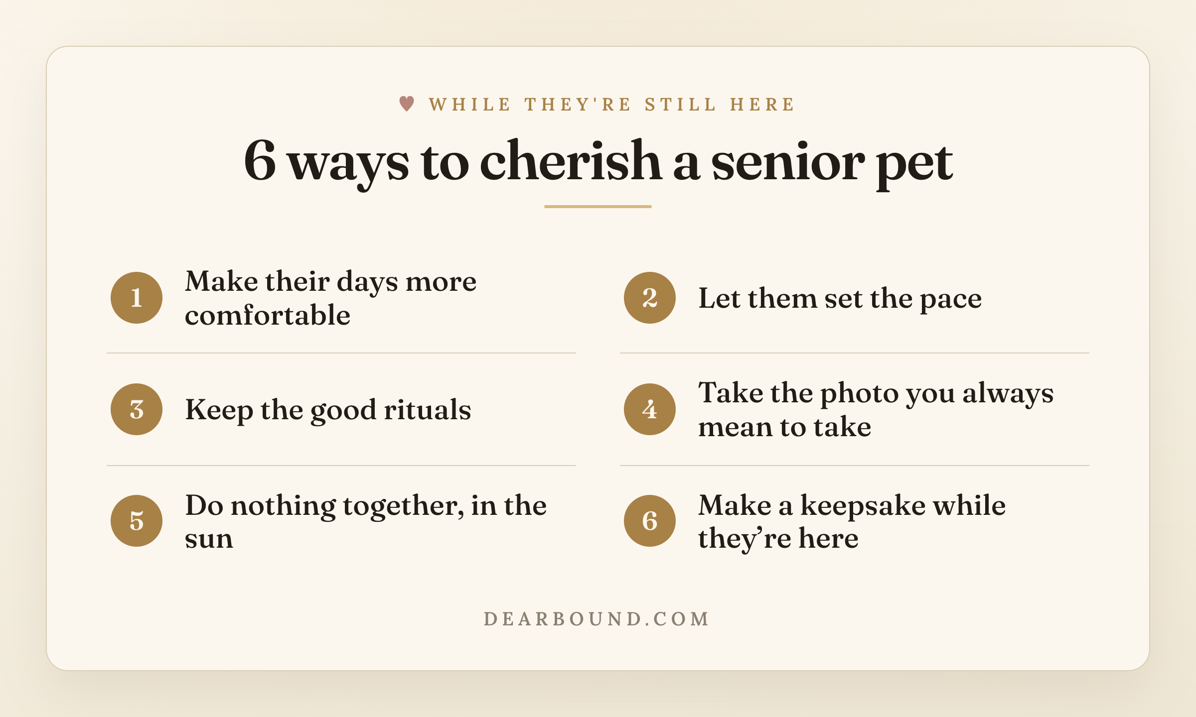 A gentle checklist card titled '6 ways to cherish a senior pet': make their days more comfortable, let them set the pace, keep the good rituals, take the same photo you always mean to take, do nothing together in the sun, and make a keepsake while they're here.