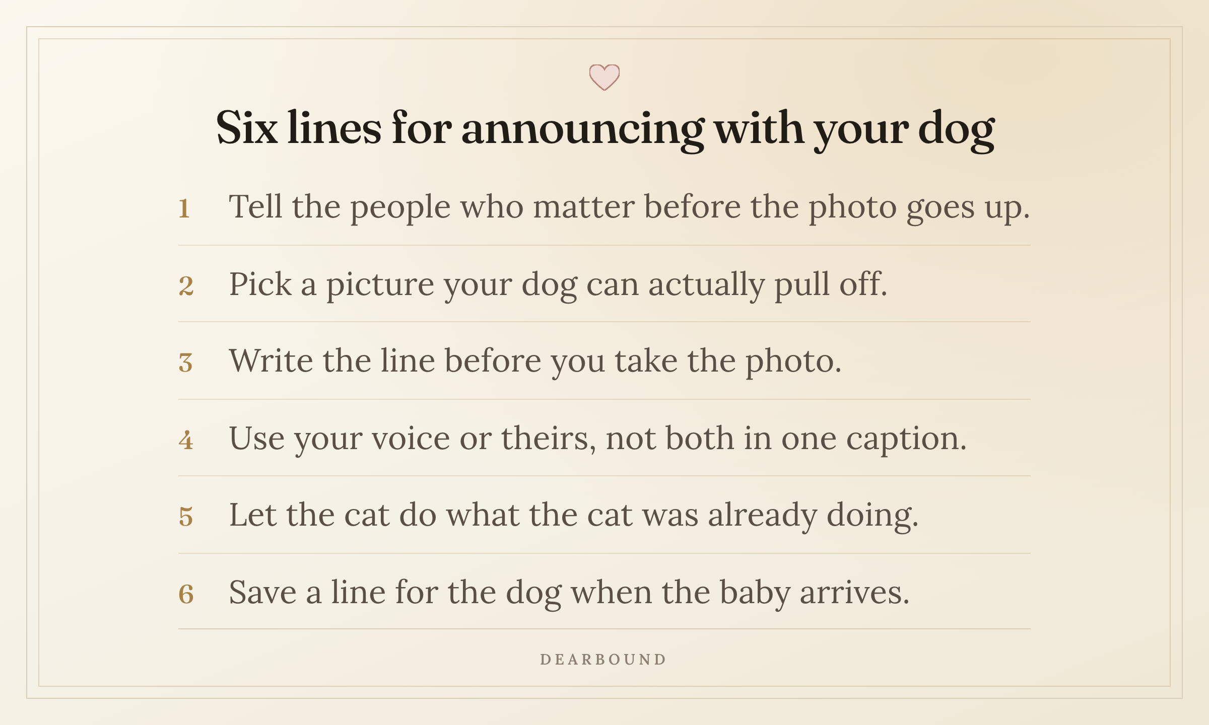 A card titled 'Six lines for announcing with your dog', with six numbered lines: tell the people who matter before the photo goes up; pick a picture your dog can actually pull off; write the line before you take the photo; use your voice or theirs, not both in one caption; let the cat do what the cat was already doing; save a line for the dog when the baby arrives.